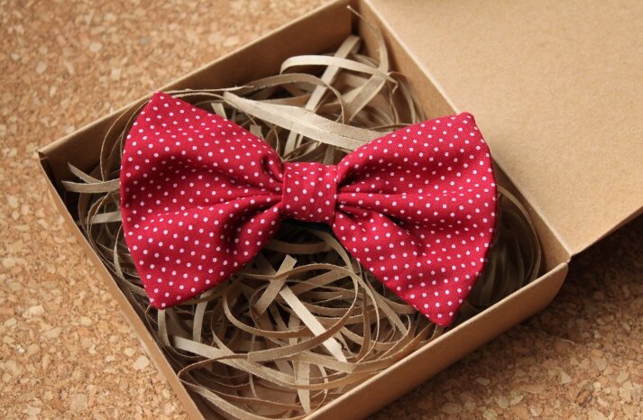 wedding-inspiration-from-etsy-polka-dots-red-white-pretied-bow-tie__full-carousel